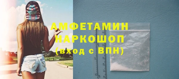 шишки Алексин