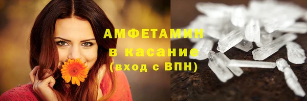 молекула духа Алексеевка