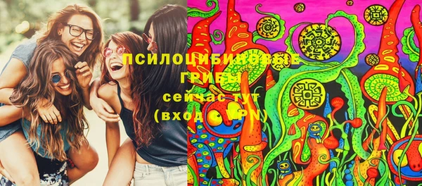 шишки Алексин