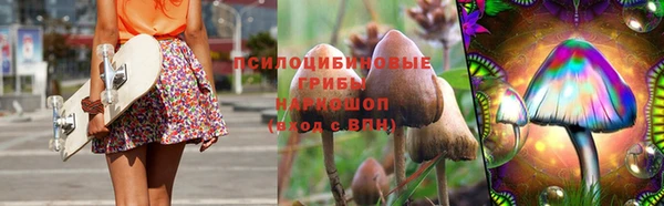 молекула духа Алексеевка