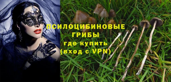 молекула духа Алексеевка